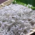 宮崎ちりめん
